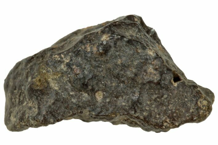 Abadla CM Chondrite Meteorite ( g) - Algeria #313059